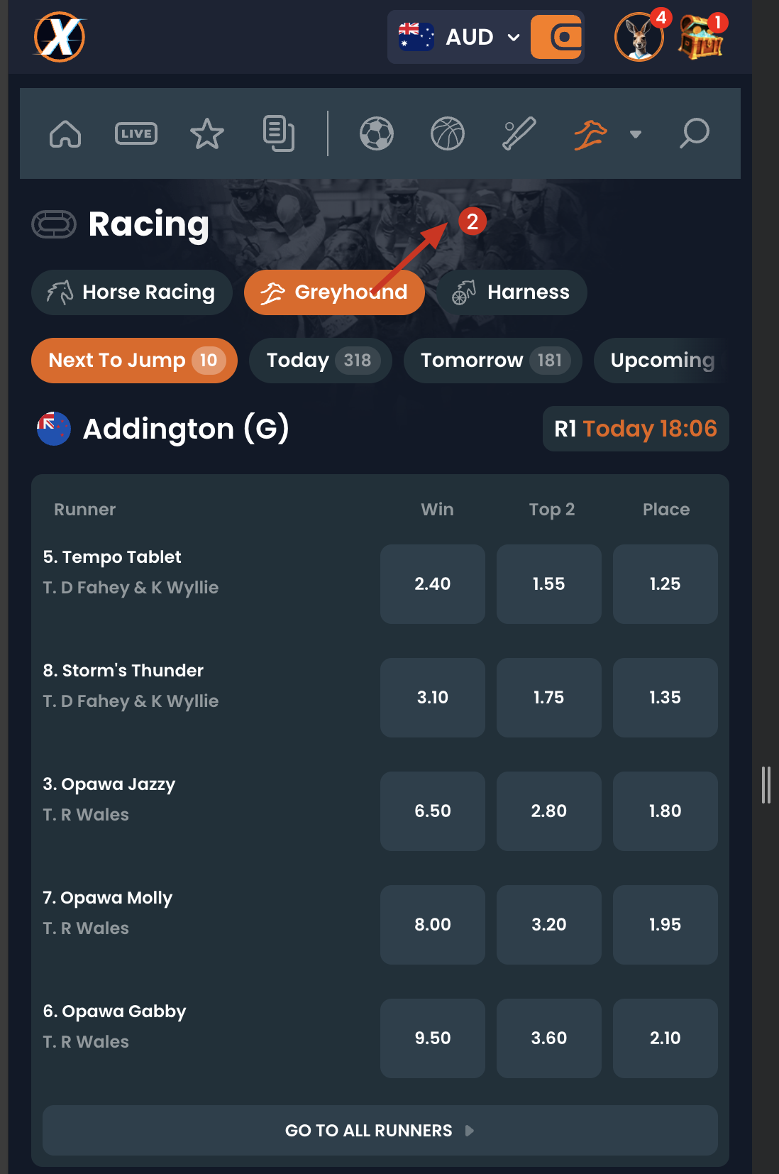 XYES greyhound racing interface showing live racing odds and runner information