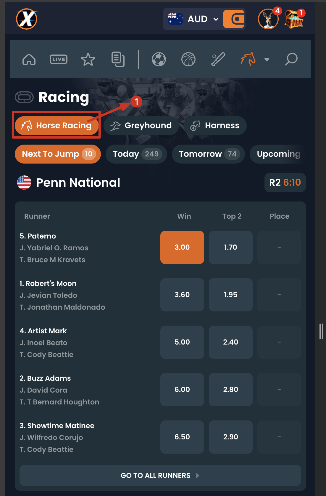 XYES horse racing interface showing live races from UK and Australian tracks